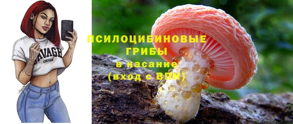 первитин Калининец