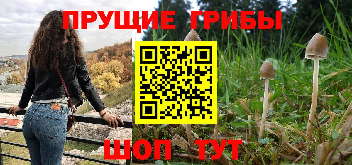 Галлюциногенные грибы мухоморы  Вход с VPN  Псилоцибиновые грибы ЛСД  Переславль-Залесский 