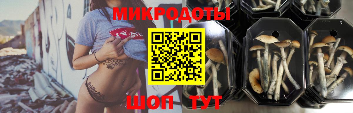 Псилоцибиновые грибы Magic Shrooms Переславль-Залесский